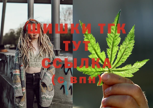таблы Няндома