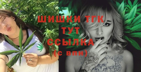 таблы Няндома