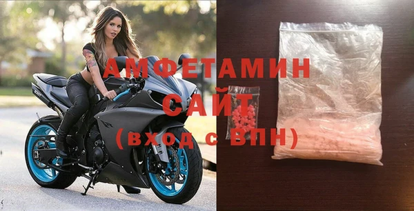 сатива Новодвинск