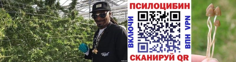 Псилоцибиновые грибы мицелий  сколько стоит  Кирсанов 
